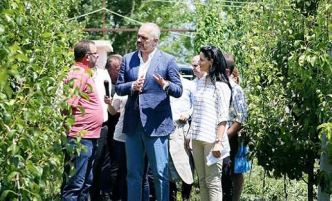Projekti Agro100, Rama: Per 100 ha ferme, japim 1 milion dollare per 5 vjet